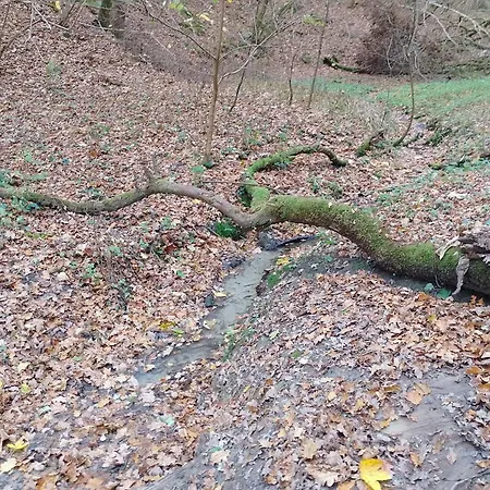 8 Person In Brovst-by Traum Brovst