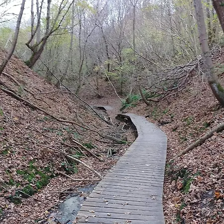 8 Person In Brovst-by Traum * Brovst